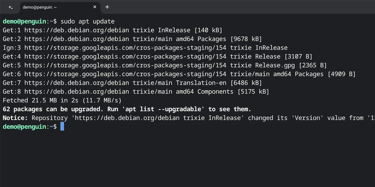 The Linux Terminal after sudo apt update, listing package sources for Debian trixie, Fetched 21.5 MB in 2s, and 62 packages can be upgraded, followed by a fresh demo@penguin prompt