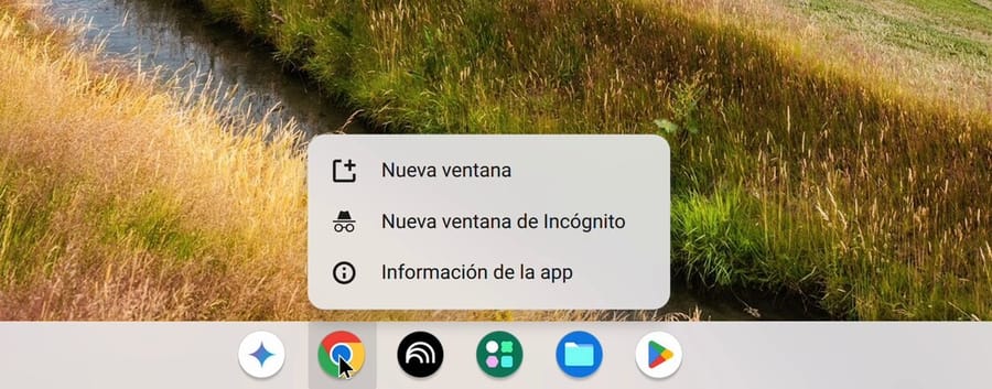 The Chrome shelf icon's right-click menu in Spanish, with Nueva ventana as the first item, then Nueva ventana de Incógnito and Información de la app