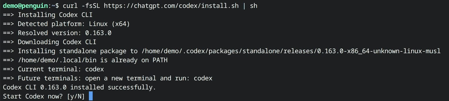 The Codex installer output in the Chromebook Terminal: Detected platform Linux (x64), Resolved version 0.163.0, Codex CLI 0.163.0 installed successfully, and the question Start Codex now