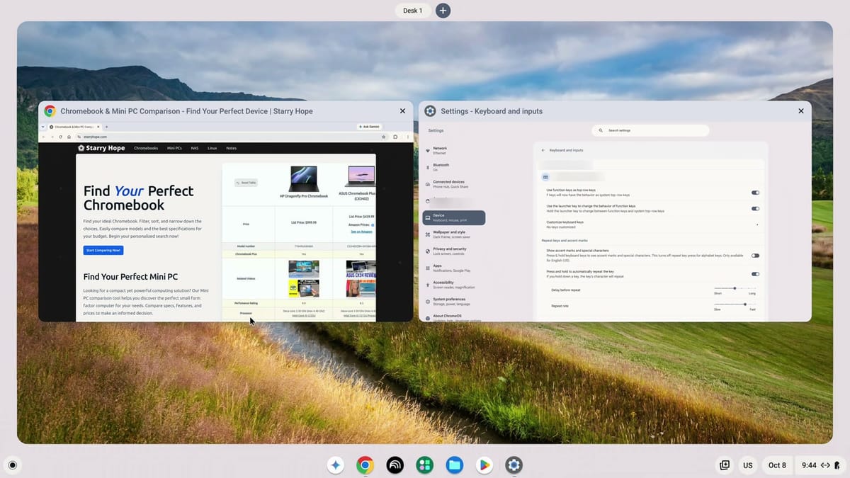 ChromeOS Show windows view with a Chrome window and the Settings Keyboard and inputs window side by side over a landscape wallpaper