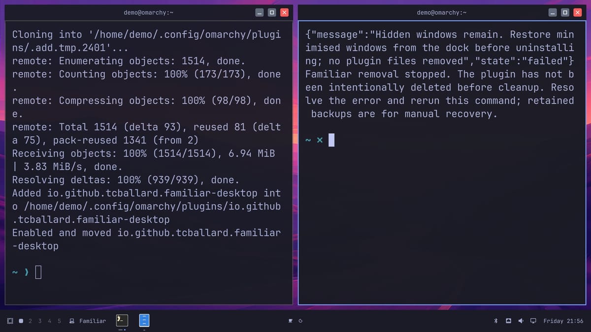 A terminal where the uninstall script stopped with the message Hidden windows remain. Restore minimised windows from the dock before uninstalling; no plugin files removed