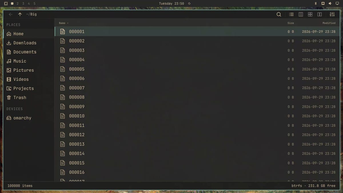 Flea open on the Big folder in list view, with files 000001 onward listed and 100000 items in the status bar