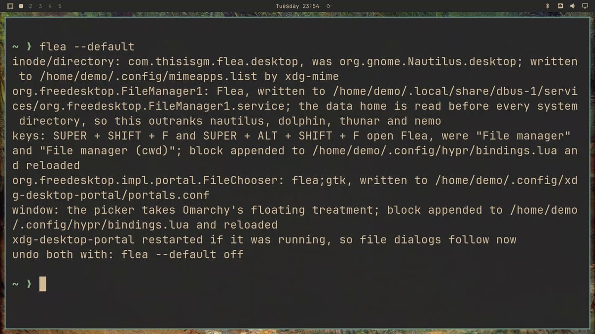 Terminal output of flea --default, listing the changes for folders, the file manager service, the Super Shift F keys, the file chooser portal, and the picker window, ending with undo both with flea --default off