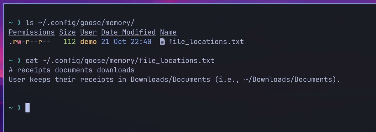 A terminal listing ~/.config/goose/memory/ with one file, file_locations.txt, then cat of that file showing the tags receipts documents downloads and the line User keeps their receipts in Downloads/Documents