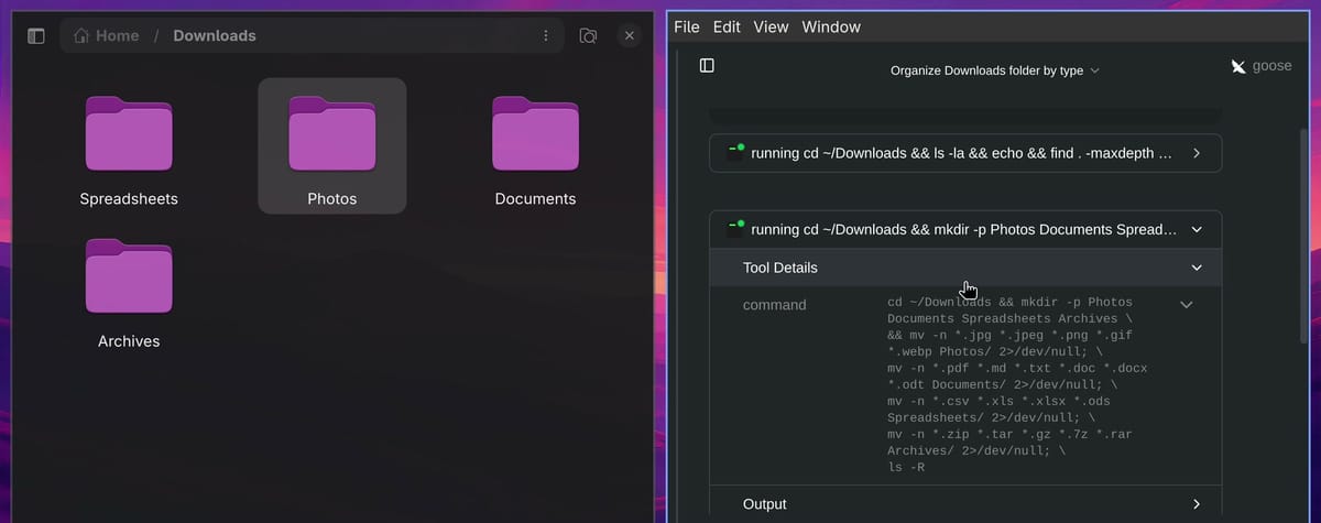 Goose Desktop with the second tool call expanded to Tool Details, showing the full command: cd ~/Downloads and mkdir -p Photos Documents Spreadsheets Archives, then mv -n lines for images, documents, spreadsheets, and archives