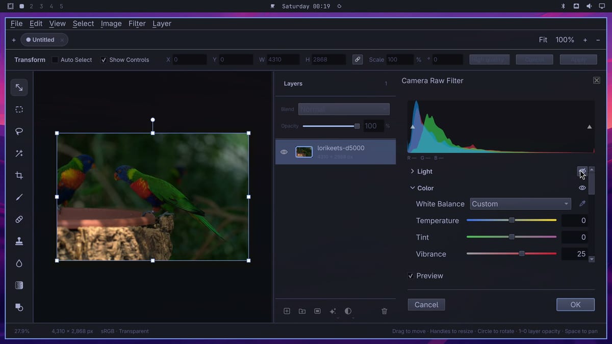 The Camera Raw Filter with the eye next to Light crossed out and Vibrance at 25 in the Color group, so the lorikeets photo shows its darker look without the Light edits
