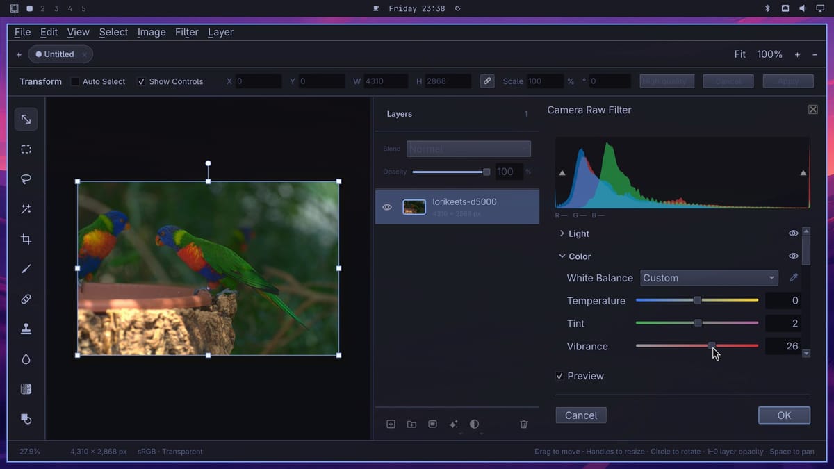 The Camera Raw Filter docked on the right with a histogram, the Light group folded, and the Color group showing White Balance Custom, Temperature 0, Tint 2, and Vibrance 26, next to the brightened lorikeets photo