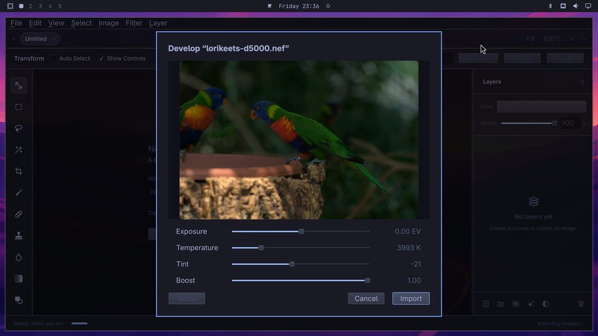 OmaPhoto's Develop window for lorikeets-d5000.nef, with a preview of the dark photo and sliders for Exposure at 0.00 EV, Temperature at 3993 K, Tint at -21, and Boost at 1.00, above Reset, Cancel, and Import buttons
