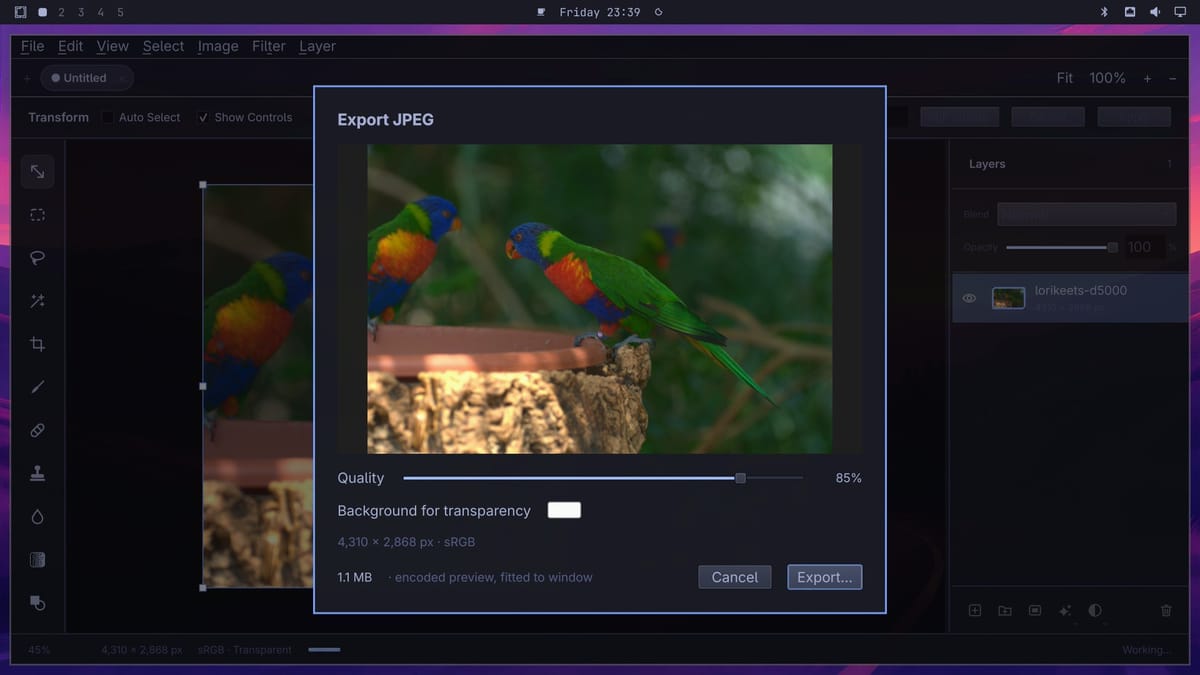 OmaPhoto's Export JPEG sheet with a preview of the edited lorikeets, Quality at 85%, a white Background for transparency swatch, 4,310 x 2,868 px sRGB, and an estimated size of 1.1 MB