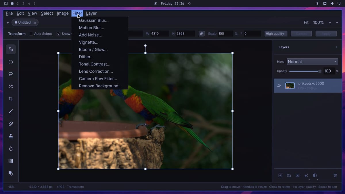 OmaPhoto's Filter menu open over the lorikeets photo, listing Gaussian Blur, Motion Blur, Add Noise, Vignette, Bloom / Glow, Dither, Tonal Contrast, Lens Correction, Camera Raw Filter, and Remove Background