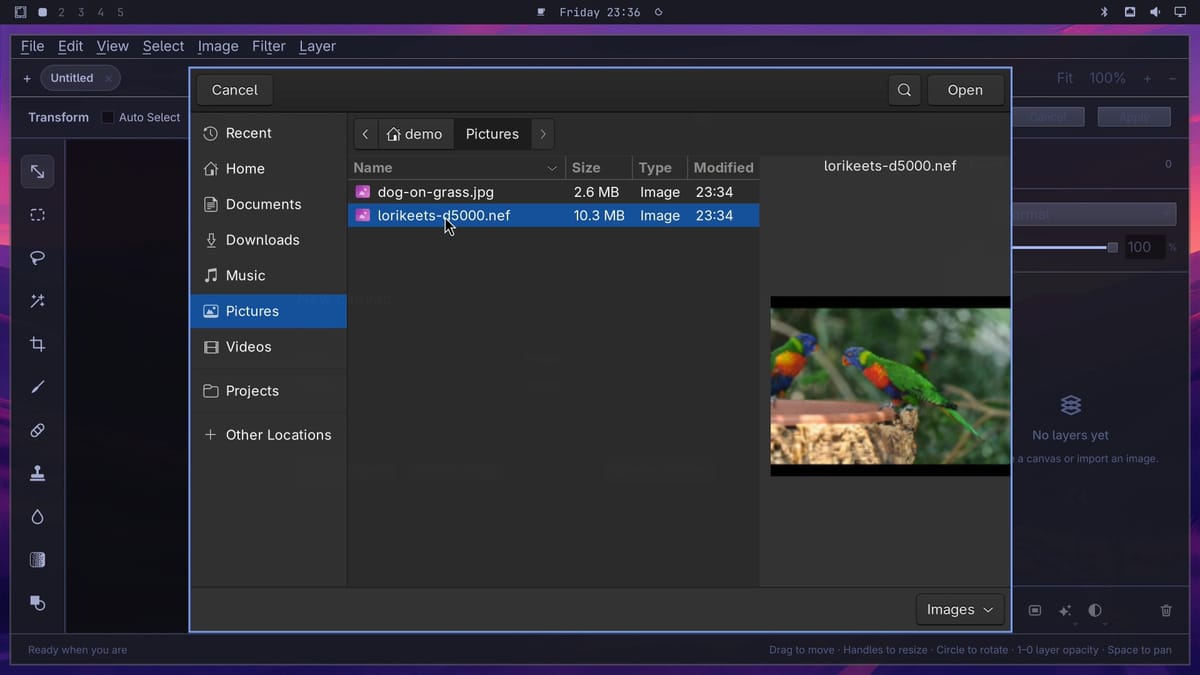 The Import image file dialog in the Pictures folder, with lorikeets-d5000.nef selected and a preview of the two lorikeets on the right