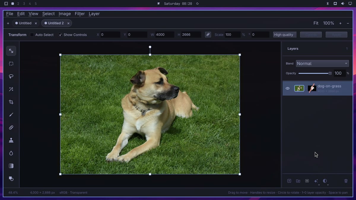 The dog photo with its grass showing again after Disable Mask, and a red slash across the mask thumbnail in the Layers panel