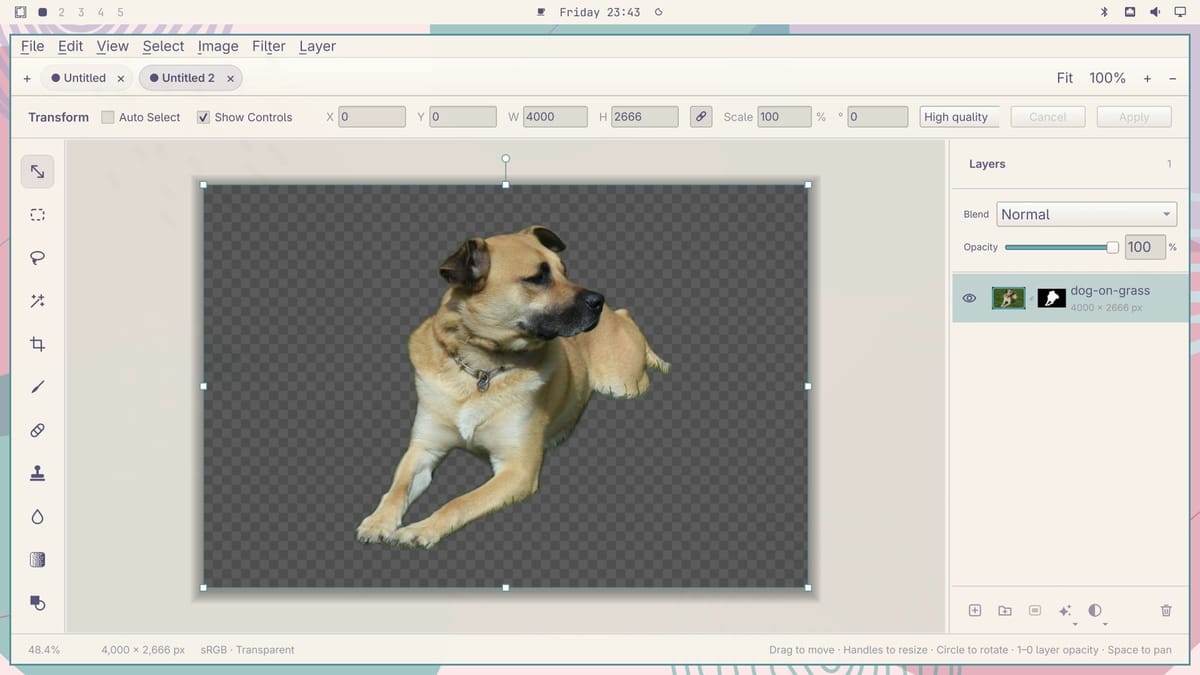 OmaPhoto in Omarchy's light Rose Pine theme, showing the dog cutout on a checkerboard and the photo and mask thumbnails in the Layers panel