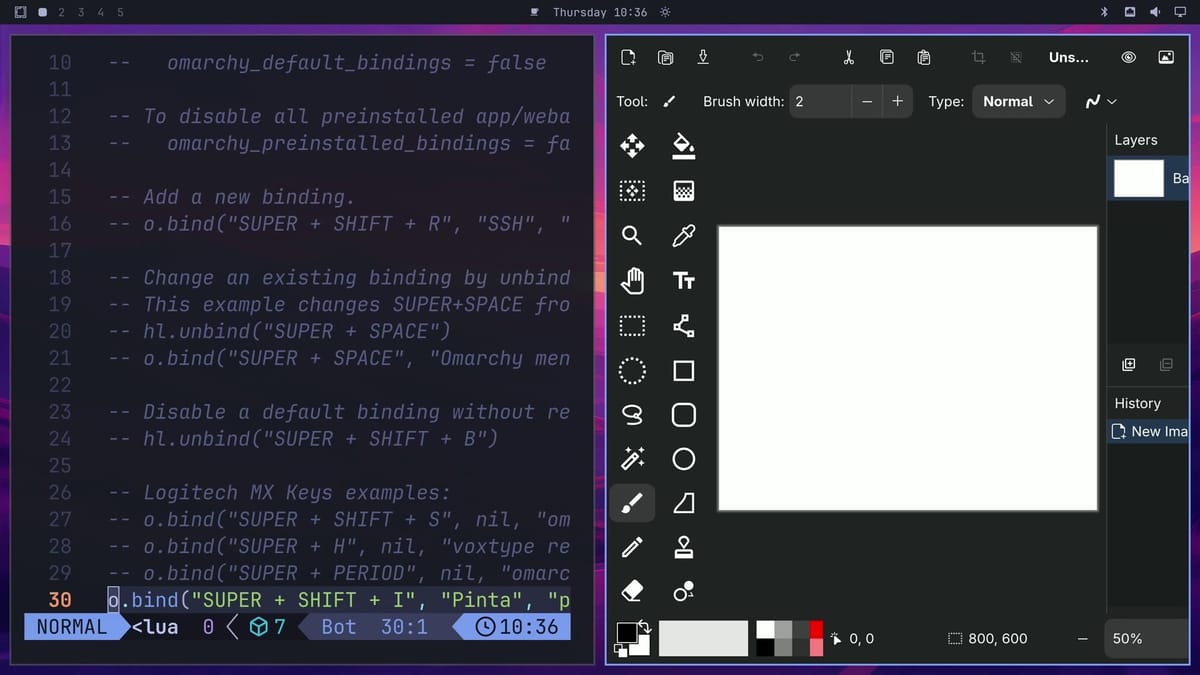 Pinta open with a blank 800 by 600 canvas in the right half of the screen, next to bindings.lua in Neovim on the left