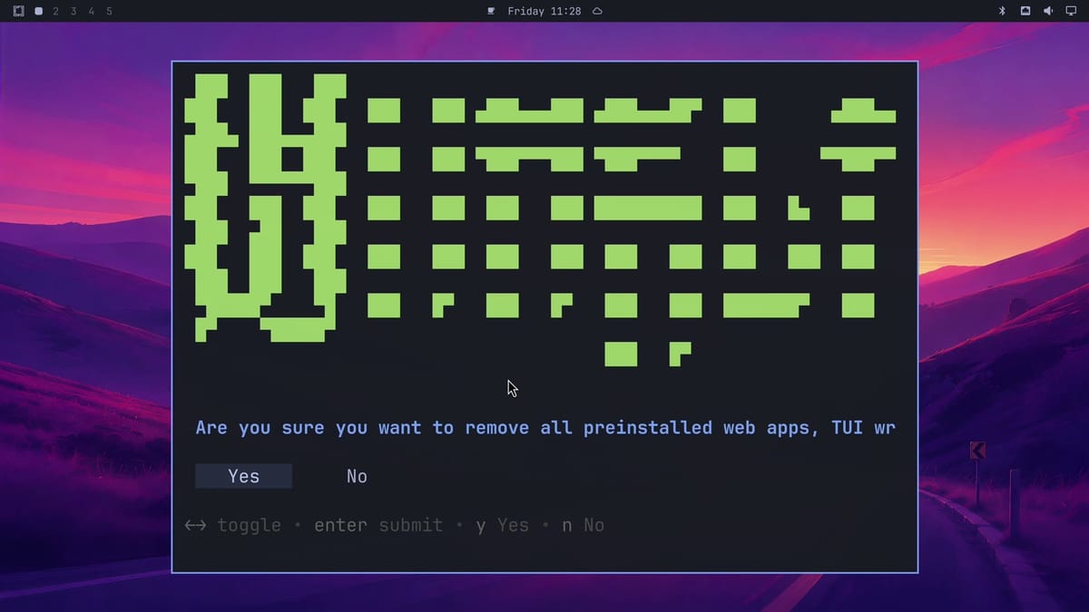The Remove Preinstalls terminal with the question cut off at the window edge after Are you sure you want to remove all preinstalled web apps, TUI, with Yes selected and No beside it
