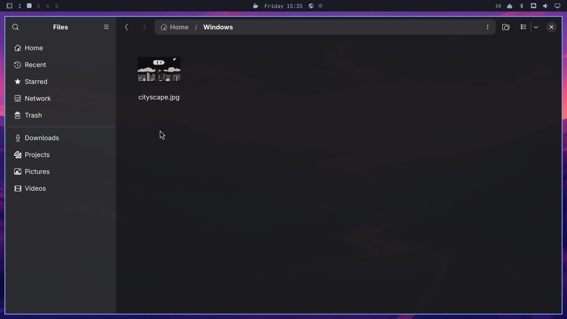 Omarchy's Files app at Home, Windows, showing cityscape.jpg with a black and white thumbnail