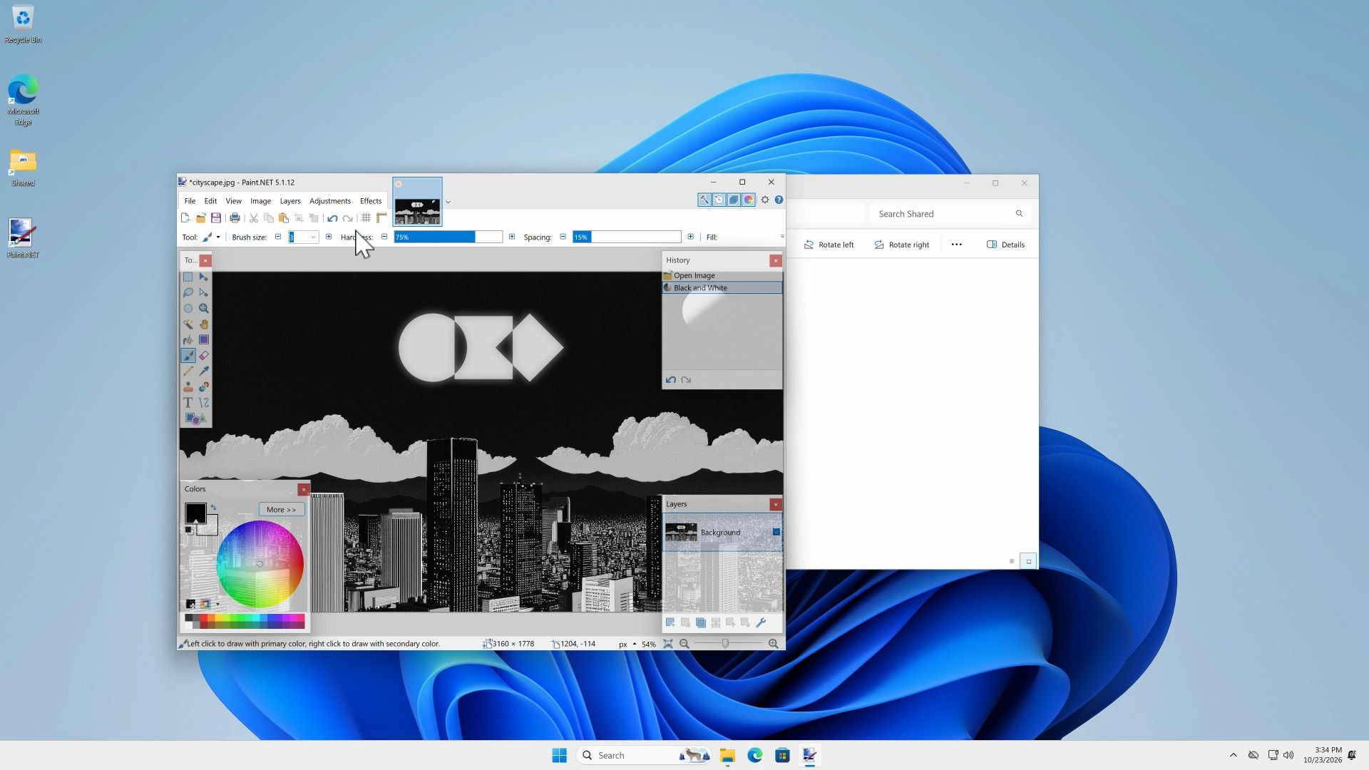Paint.NET 5.1.12 with cityscape.jpg in black and white, the History panel listing Open Image and Black and White