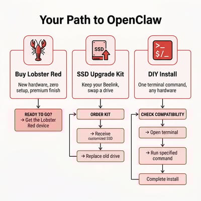 Decision flowchart showing three paths to OpenClaw: buy Lobster Red, get SSD kit, or DIY install
